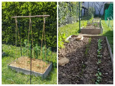 Notre filet pour protéger le potager