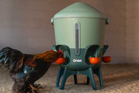 Abreuvoir isolé pour poules