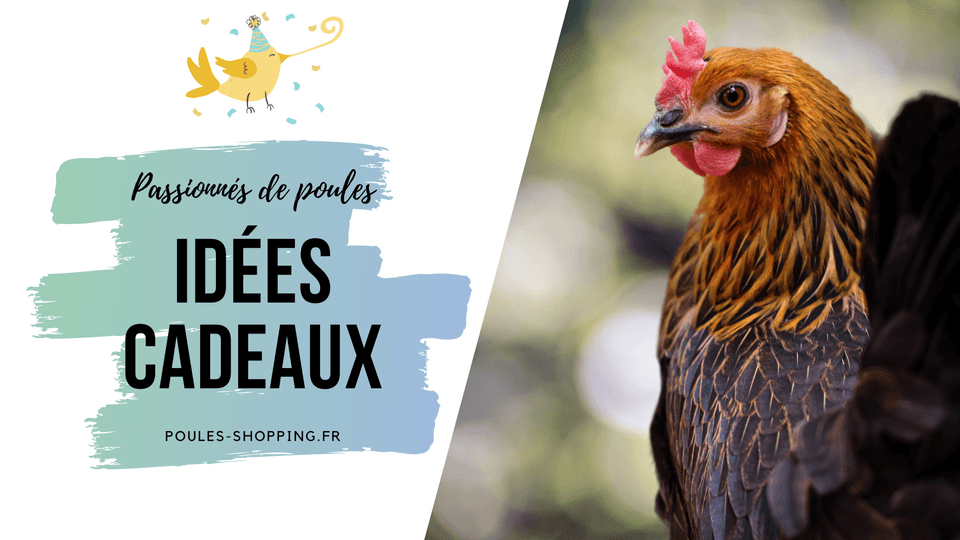 10 idées cadeaux pour les passionnés de poules