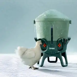 Abreuvoir isolé pour poules